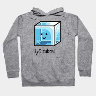 H2O Cubed Ice Block Chemistry Science Joke Hoodie